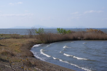 霞ケ浦の砂浜