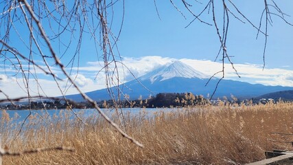 View of Mount Fuji with snow on top as seen from Oishi park, Japan