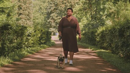 Full length slowmo of mid aged curvy Black woman walking with pug on leash on trail in park at summertime