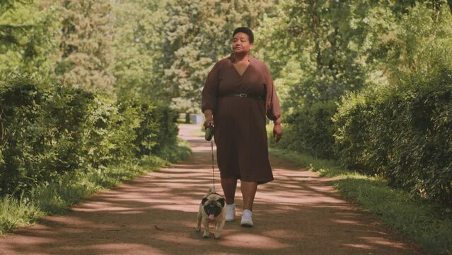 Full length slowmo of mid aged curvy Black woman walking with pug on leash on trail in park at summertime