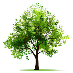 green tree isolated on white, made with AI