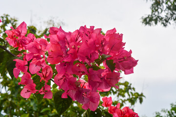 Photo of the park in Tanjung Serut tourist village