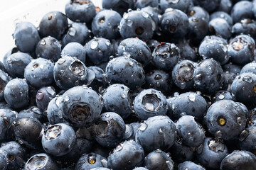 blueberry. Fresh Bilberries. Close-up background.