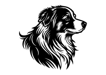 drawing of border collie dog