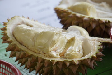 Durian, the king of fruit. Durian is one of the exotic fruit from East Asia. This fruit has strong aroma, 