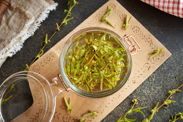 Praparation of gemmotherapeutic tincture from young willow branches with bark and buds