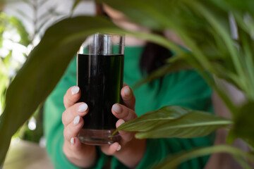 A woman holds a glass of chlorophyll water, an antioxidant drink. Healthy lifestyle, detox,...