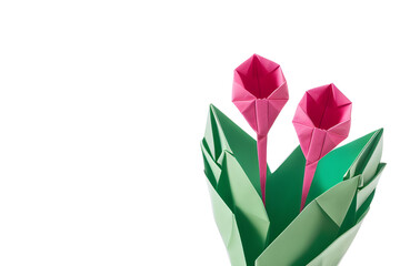 Paper origami pink flowers on white background, generative ai