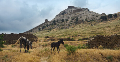 Ancient Sudak fortress in summer. City of Sudak Crimea.