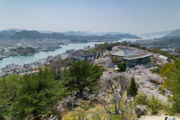 Fototapeta na wymiar 桜の咲く広島県尾道市の風景