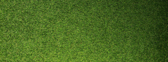 Top view Green grass texture background. Panoramic web banner or wallpaper with copy space.