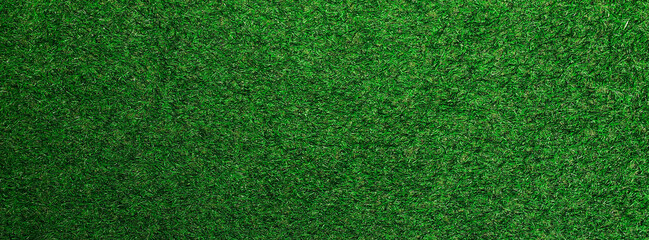 Top view Green grass texture background. Panoramic web banner or wallpaper with copy space.