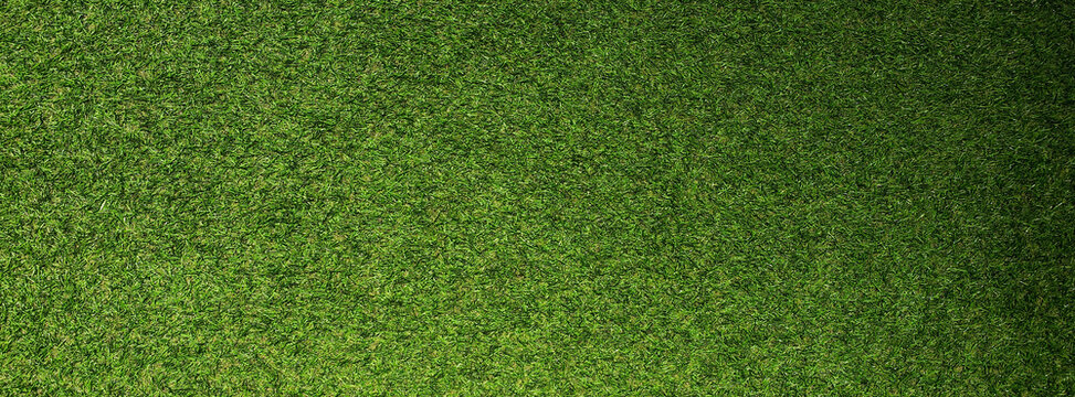 Top view Green grass texture background. Panoramic web banner or wallpaper with copy space. © Midnight Studio v2