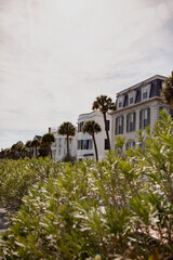 Fototapeta na wymiar Charleston South Carolina row of houses on beach southern charm