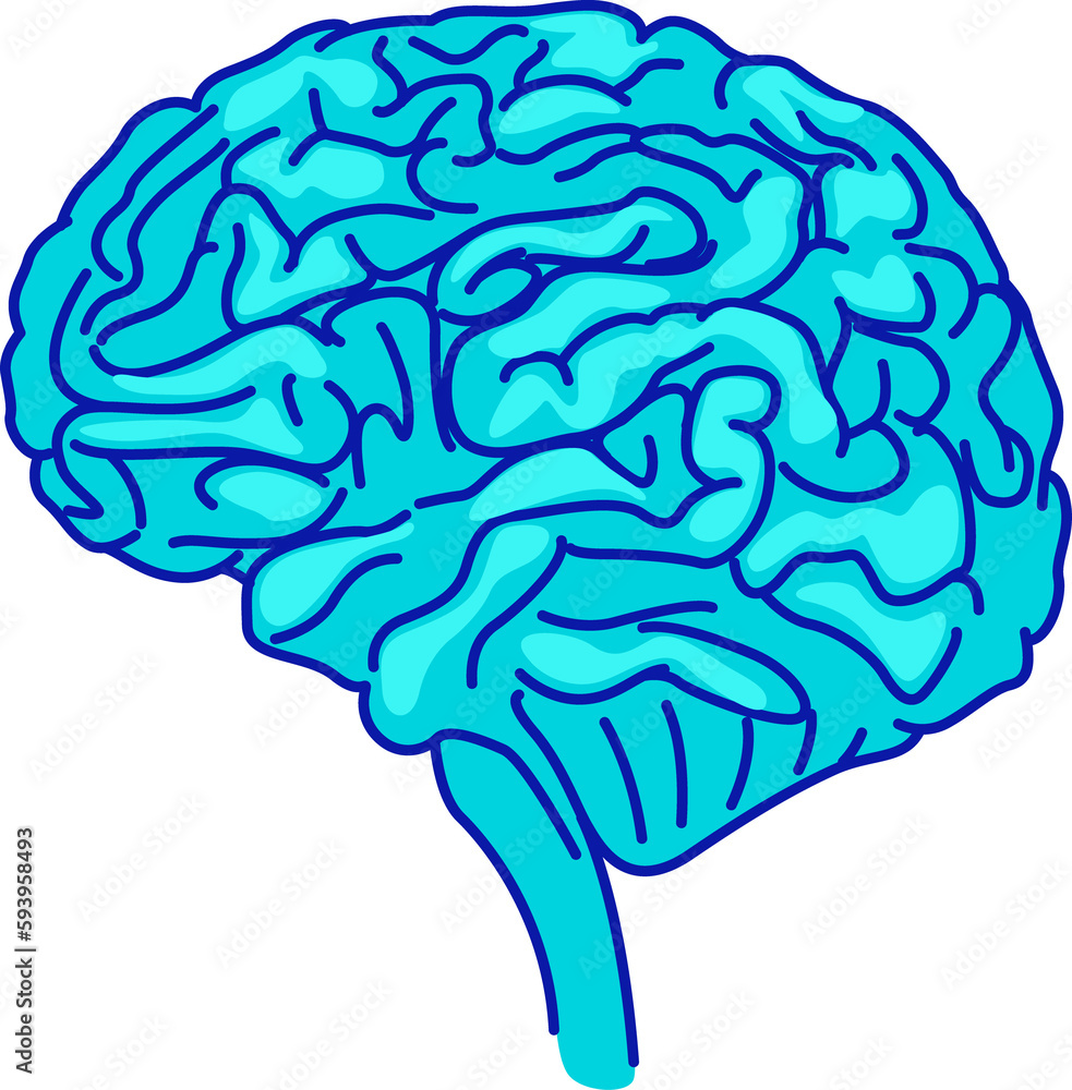 Aufkleber human brain semi flat color raster element. full sized object on white. nervous system central organ