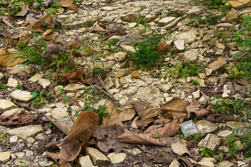 Close up low angle abstract object. suitable for background. perspective view