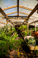 Ancient Lush Gardens and Greenhouse in Magnolia Plantation