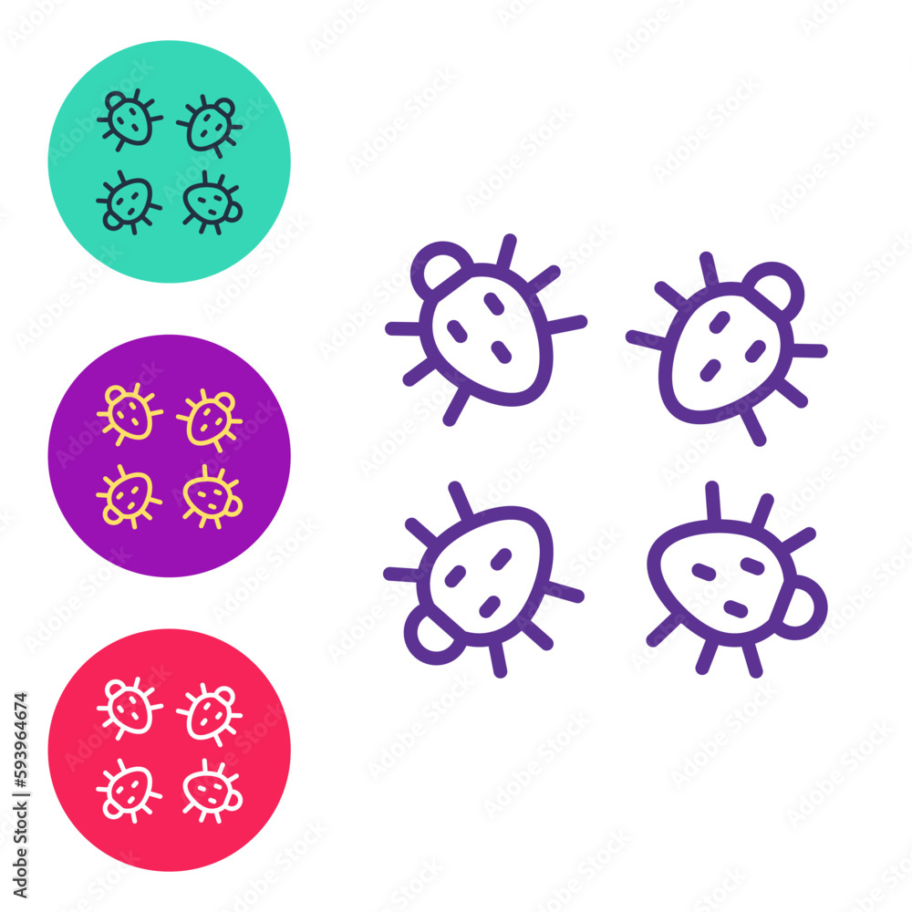 Poster set line colorado beetle icon isolated on white background. set icons colorful. vector