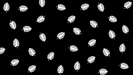 ILLUSTRATION WITH WHITE LEAVES ON A BLACK BACKGROUND.