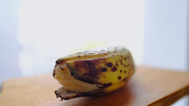 fruit flies, Drosophila melanogaster, crawl over an overripe banana, lay larvae, gray, white fluffy mold, concept, fruit decay process, mycotoxins affect people's health, rotting food