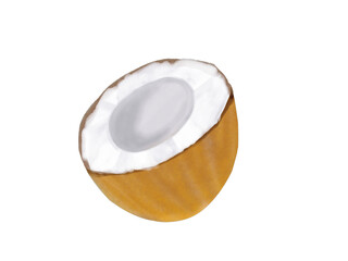 half coconut illustrations 