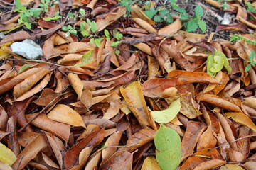 South Florida Flooding from April 2023 thunderstorm