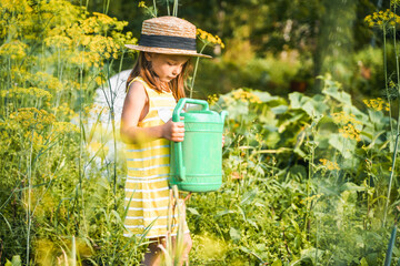 Farmer girl in yellow dress. Little vegetables gardener farming in garden. Big green watering can...