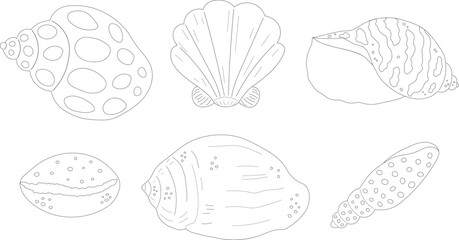 Set sea shell snail clam coloring vector illustration