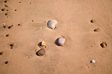Fototapeta na wymiar Rocks and shells on the sandy beach.
