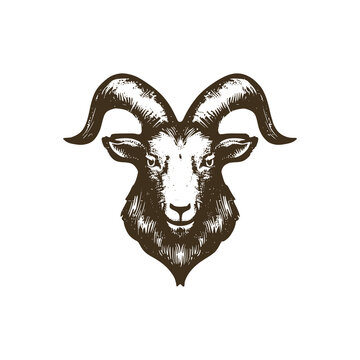 Vintage logo of a goat head. an old-school logo of a sheep's head. Aesthetic retro logo for Eid al-Adha isolated on white background. vector logo.