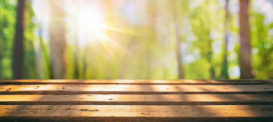 Spring summer beautiful nature background with blurred park trees in sunlight and empty wooden...