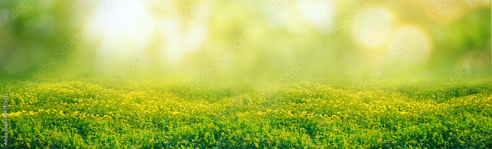 Poster beautiful background image of a forest glade on a spring morning.
