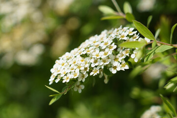 Crespi d'adda, villaggio operaio, Milan