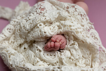 Soft feet of a newborn. baby limbs in lace fabric