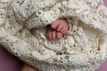 Soft feet of a newborn. baby limbs in lace fabric