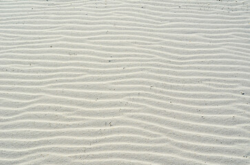 October Day at the Beach, Orange Beach, Alabama, Sand and Water Natural Patterns, Seagulls, Sea Oats, Seashells, Gulf of Mexico