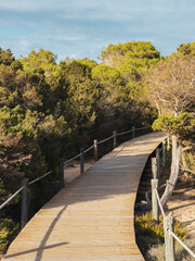 Formentera. Holzsteg und mediterrane Vegetation.