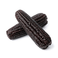 Pair of fresh cooked black corn cob isolated on white background close up