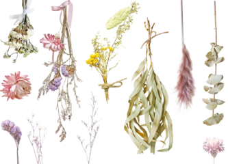 切り抜き透過素材セットードライフラワー2