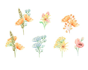 Watercolor bouquets. Watercolor floral illustration. Watercolor flowers. Field flowers. Branches and leaves. Design for packing, decor, home decor, cards, greetings.