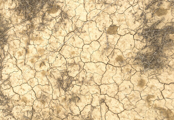 Dry cracked earth texture background. Clayey land dried out by drought. Cracked earth background. Global warming effect.