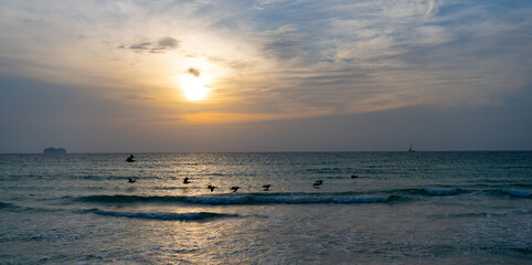 Obraz premium seascape nature at sunset, panorama. summer seascape nature at sunset.