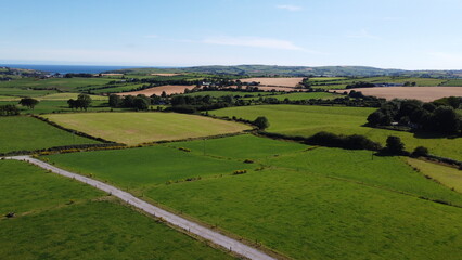 Fototapeta na wymiar fields separated by shrubs, view. Cattle pastures in the south of Ireland. Agricultural landscape, nature. Green grass field