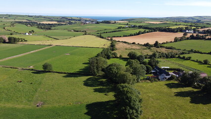 Fototapeta na wymiar fields and trees near a farm in Ireland in summer, top view. Irish agrarian landscape, nature. Green grass field