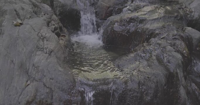 Water Flowing Down Rocks from a Waterfall with Lush Sub Tropical Vegetation 