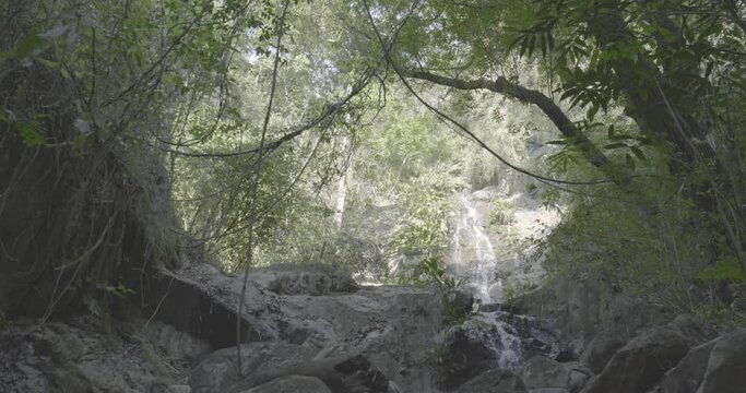 Waterfall with Lush Sub Tropical Vegetation Around it in Minca, Colombia
