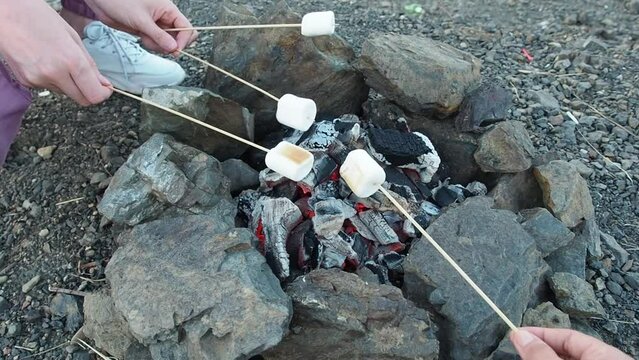 People fries marshmallows on coals outdoor. Marshmallow on skewers is fried at the stake. A marshmallow that has been toasted over an open flame. Friends toasting a marshmallow