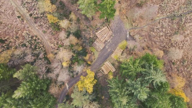 Drone scene over a remote road through woodland autumn trees on Dartmoor in Devon, UK
