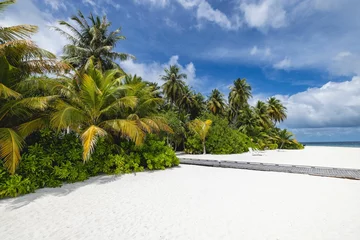 Deurstickers Tropisch strand Tropical island with tall coconut trees and a cloudy blue sky