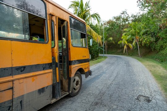 Old bus on the rural road surrounded by tropical trees in the evening in Chivirico, Cuba